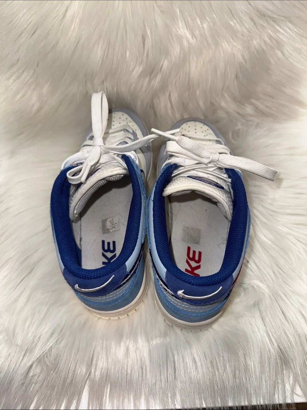 Nike Dunk Low